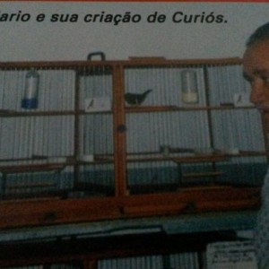Criadouro dos Sonhos